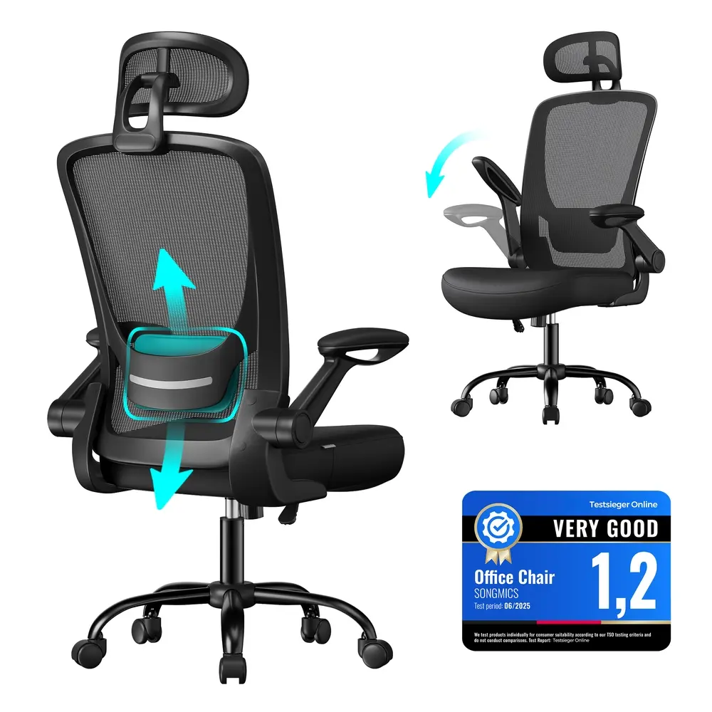 Ergonomic Office Chair with Mesh Back